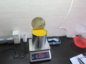 60 procenti DW konservēti 3 kg Mandarin Orange Sacs